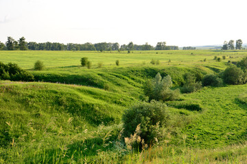Obraz premium Rolling Green Hills under a Bright Sky
