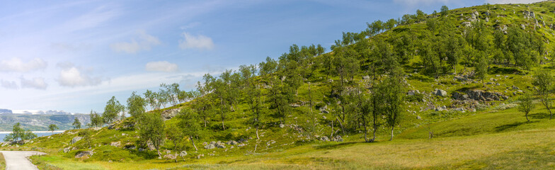 Norwegische Landschaft am Staudamm Sysenvatn und Umgebung