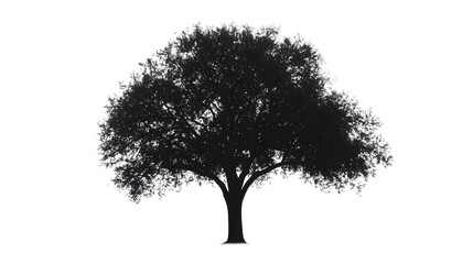 tree silhouette png