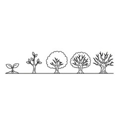 Obraz premium Stages of tree growth depicted from seedling to mature tree, illustrating life cycle.