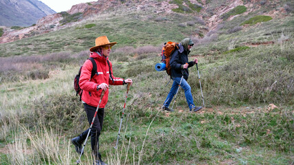Two travelers roam the expanses of the earth. Two good friends are walking along a grassy hill with...