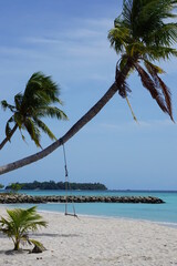 A palm tree swing by the ocean on the bikini beach on the island Guraidhoo in the Maldives