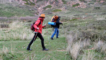 Two people are walking in a field with backpacks on their backs. Two friends are actively spending...