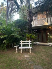 bench in the garden