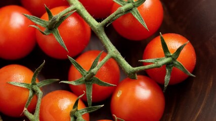 Fresh sprigs of red cherry tomatoes with green leaves in a wooden bowl. Rotation