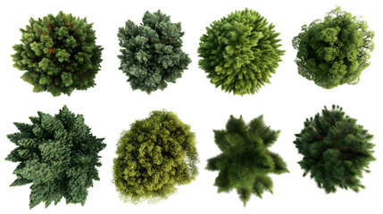 Obraz premium Top view of variety of vibrant green trees isolated on white background