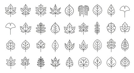 Fototapeta premium Collection of diverse leaf outlines, perfect for nature-themed designs and seasonal projects