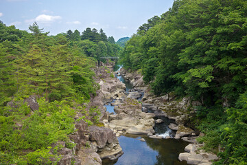 夏の厳美渓。