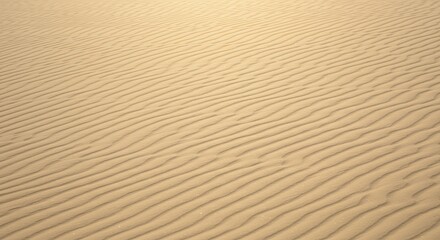 Obraz premium Golden Desert Sand Dune Texture: Natural Background Image for Design