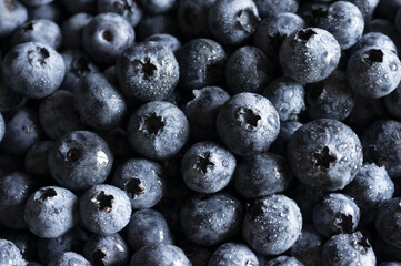 blueberries with water drops macro