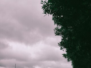 clouds in the sky