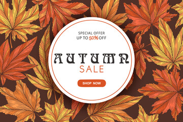 Autumn sale round vector banner template with colorful hand drawn maple leaves isolated on brown background. Fall leaf vector illustration. Seasonal design for poster card advertising flyer website