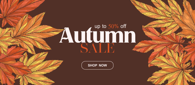 Autumn sale vector banner template with colorful hand drawn maple leaves isolated on brown background. Fall leaf vector illustration. Seasonal design for advertising flyer website poster card