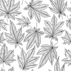 Seamless pattern of hand drawn monochrome autumn maple leaves. Engraving line art fall leaf ornament template for fabric print, card. Foliage vector nature illustration isolated on white background