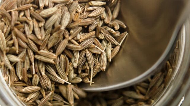 Metal spoon scoops dried cumin seeds from glass jar. Aromatic spice. Organic ingredient. Top view. Macro shot