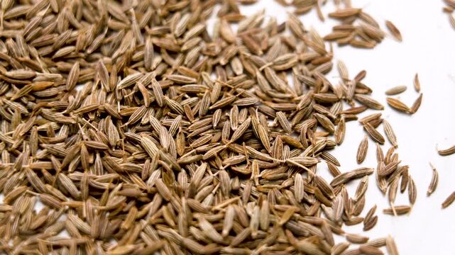 Pile of aromatic cumin seeds scattered on ceramic plate. Organic Asian spice