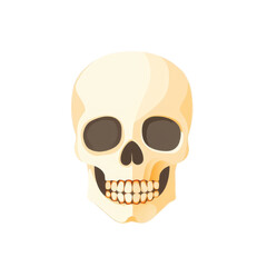 Cartoon-style skull illustration with a cheerful expression