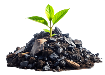 Glowing Green Sprout Emerging from a Pile of Dark Industrial Rubble and Waste
isolated on white background ,PNG.AI Generated.