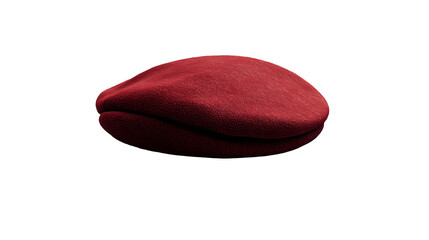 beret png