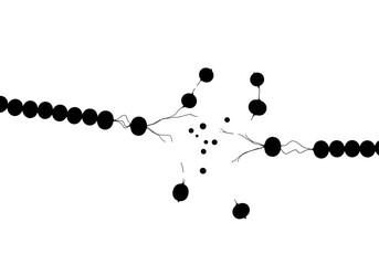 Crisp silhouette of a broken pearl necklace with scattered pearls of varying sizes and delicate string, suspended against a solid transparent background. Concept of fragility and abstract form