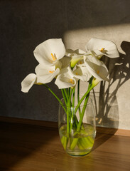 A bouquet of white calla lilies arranged in a glass vase filled with water. Warm sunlight casts gentle shadows on the wall, enhancing the flowers’ elegance and refined simplicity.