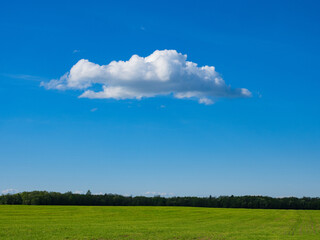 Single fluffy white cloud floating in clear blue sky over green field and tree line, peaceful rural nature scene. Agriculture, Nature, Environment, Weather, Travel.