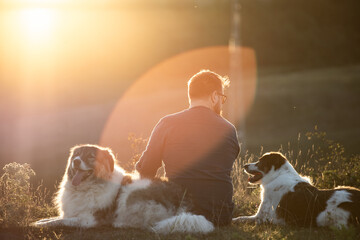Happy dogs and man sitting outdoor