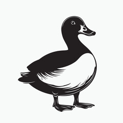 duck isolated on white