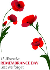 Vector illustration of remembrance day vertical poster with two bunch of red poppy flowers on white and black background