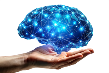  Human Hand Supporting a Glowing Blue Polygonal Brain Network with Interconnected Data Points isolated on white background ,PNG.AI Generated.