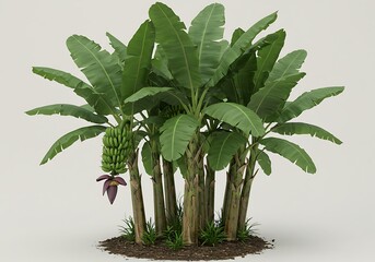 緑葉の楽園：3D植物レンダリング