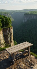 峡谷のベンチ、静寂の眺望