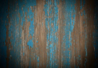 青と朽木の物語