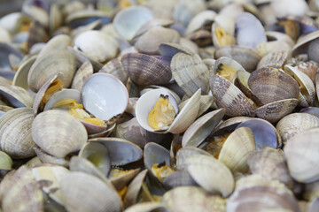 Fresh clams dish