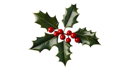 Obraz premium holly png