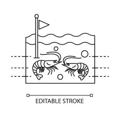 Obraz premium Two shrimp facing each other in a small water tank with a flag