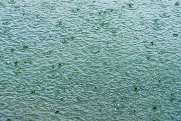 夏の雨降り 水面の雨垂れ02