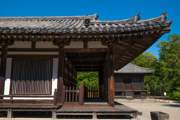 Naklejka premium 奈良、唐招提寺、佛寺、寺院、文化財、木造建築、古代建築、日本文化、歷史名勝、文化財、木、綠色、青空、写真素材