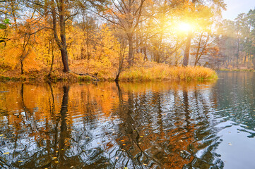 Autumn Forest and Gazebo Reflected in Lake