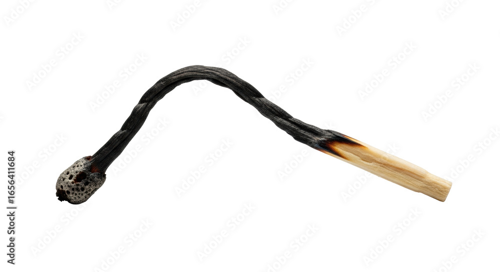 Poster a single burnt matchstick, delicate black arch, fine charred textures, fragile twisted form, isolate