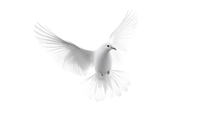 Naklejka premium birds flying png