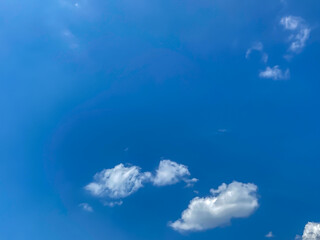 jellyfish in the sky