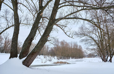 Winter Landscape with Bare Trees and a Frozen River