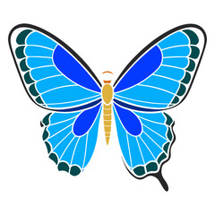 Beautiful blue butterfly in full body Butterfly Morpho colorful butterfly on white background.