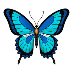 Beautiful blue butterfly in full body Butterfly Morpho colorful butterfly on white background.