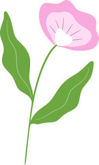 flower with green leaf