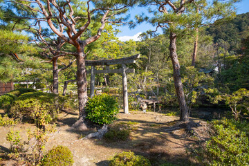 日本、京都、金地原、庭園、寺院、青空、木、緑、木造の建物、秋、絶景、紅葉、写真素材