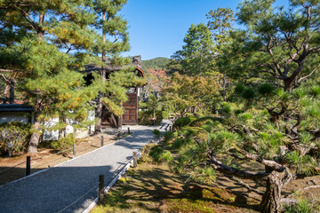 日本、京都、金地原、庭園、寺院、青空、木、緑、木造の建物、秋、絶景、紅葉、写真素材