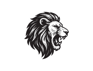 lion head isolated on white