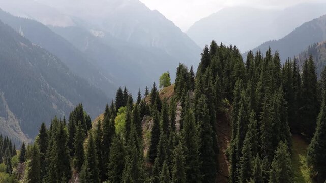 Oi Qaragai Gorge. The view from the drone. Mountainous terrain with different vegetation in the summer.